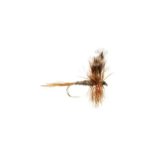 Adams - Your Premium Fishing Gear Store Rods Lines Baits Accessories^ Cheap