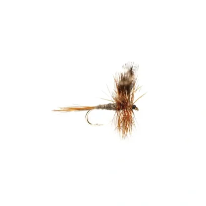 Adams - Your Premium Fishing Gear Store Rods Lines Baits Accessories^ Cheap
