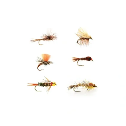 All Around Trout Selection - Your Premium Fishing Gear Store Rods Lines Baits Accessories^ Store