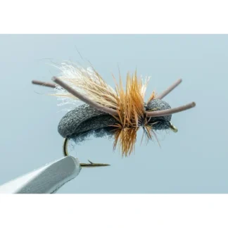 Ant Black #14 - Your Premium Fishing Gear Store Rods Lines Baits Accessories^ Store