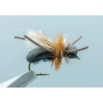 Ant Black #14 - Your Premium Fishing Gear Store Rods Lines Baits Accessories^ Store