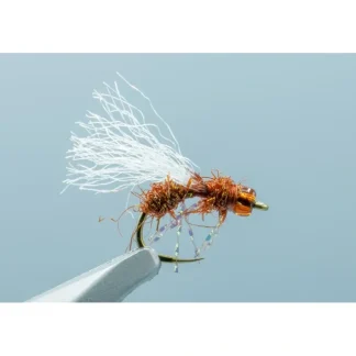 Anty Raid Glass Cinnamon #16 - Your Premium Fishing Gear Store Rods Lines Baits Accessories^ Store