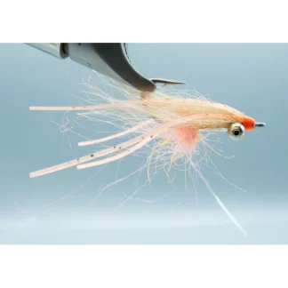 Arctic Bone Spawning Shrimp #6 - Your Premium Fishing Gear Store Rods Lines Baits Accessories^ Cheap