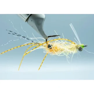 Ascension Bay Mantis Golden Sand - Your Premium Fishing Gear Store Rods Lines Baits Accessories^ Fashion