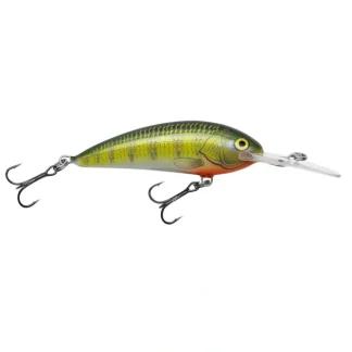 Bagley Balsa Shad - Your Premium Fishing Gear Store Rods Lines Baits Accessories^ Flash Sale