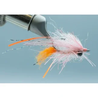 Bahamas Shrimp - Your Premium Fishing Gear Store Rods Lines Baits Accessories^ Cheap