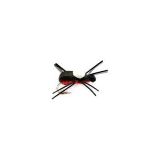 Bank Beetle Black & Red - Your Premium Fishing Gear Store Rods Lines Baits Accessories^ Store