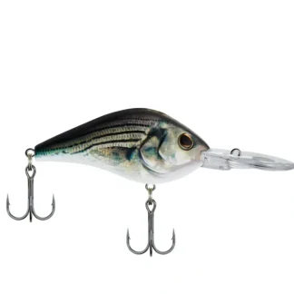 Berkley Dredger, Weighted Bill, Deep Diver Crankbait (Assorted Sizes and Colors) - Your Premium Fishing Gear Store Rods Lines Baits Accessories^ Discount