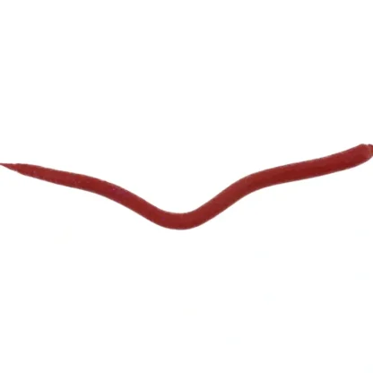 Berkley Gulp! Extruded Bloodworm, 6", 1.2oz, Bloody Iridescent - Your Premium Fishing Gear Store Rods Lines Baits Accessories^ Fashion