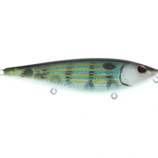 Berkley HighJacker Saltwater Top Water, 2/3oz, 3 7/8", Pinfish - Your Premium Fishing Gear Store Rods Lines Baits Accessories^ Store