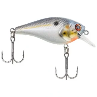 Berkley SquareBull Crankbait, 2 3/8", 3/8oz, Sexier Shad, Floating - Your Premium Fishing Gear Store Rods Lines Baits Accessories^ Discount