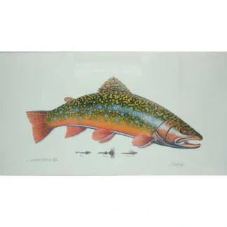 Bern Sundell 56/300 Trout & 3 Flies Print - Your Premium Fishing Gear Store Rods Lines Baits Accessories^ Outlet