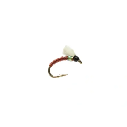 Boroffs Foamie Homie Brown - Your Premium Fishing Gear Store Rods Lines Baits Accessories^ Flash Sale