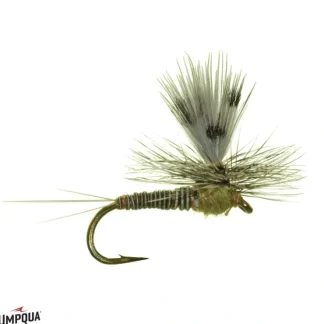 Burk's Silhouette Dun BWO - Your Premium Fishing Gear Store Rods Lines Baits Accessories^ Outlet