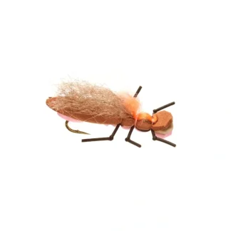 Burkus Long Shank Bearback Rider Pink - Your Premium Fishing Gear Store Rods Lines Baits Accessories^ Best Sale