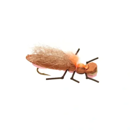 Burkus Long Shank Bearback Rider Pink - Your Premium Fishing Gear Store Rods Lines Baits Accessories^ Best Sale