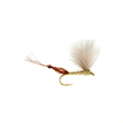 Burkus Riffle Robber Pale Olive - Your Premium Fishing Gear Store Rods Lines Baits Accessories^ Cheap
