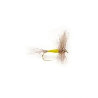 BWO - Your Premium Fishing Gear Store Rods Lines Baits Accessories^ Cheap
