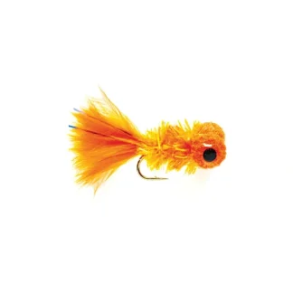 Cactus Orange - Your Premium Fishing Gear Store Rods Lines Baits Accessories^ Clearance
