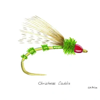 Caroline Price Art - Christmas Caddis 5 Pack w/ Envelops - Your Premium Fishing Gear Store Rods Lines Baits Accessories^ Discount
