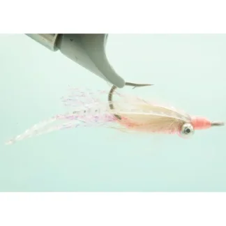 Chicone Bone Appetite - Your Premium Fishing Gear Store Rods Lines Baits Accessories^ New