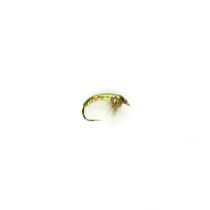 Czech Mate Green Peacock - Your Premium Fishing Gear Store Rods Lines Baits Accessories^ Best Sale