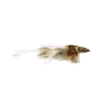 Drunk & Disorderly White & Pearl - Your Premium Fishing Gear Store Rods Lines Baits Accessories^ Clearance