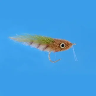 Enrico Puglisi Everglades SP - Your Premium Fishing Gear Store Rods Lines Baits Accessories^ Store