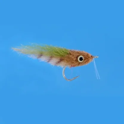 Enrico Puglisi Everglades SP - Your Premium Fishing Gear Store Rods Lines Baits Accessories^ Store