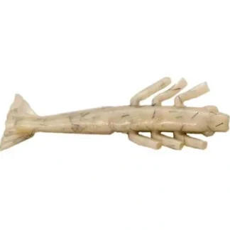 Fishbites Fish Fight Club Fight'N Shrimp Jerk Bait, 3-1/2", 6pk, Haymaker - Your Premium Fishing Gear Store Rods Lines Baits Accessories^ Best