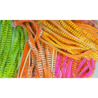 Magnum Tiger Barred Strips - Your Premium Fishing Gear Store Rods Lines Baits Accessories* Fly Fishing