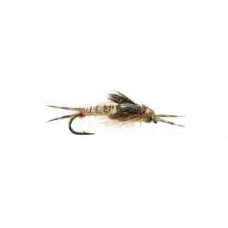 Mike Mercer's Epoxy Back Biot Golden Stone Nymph - Your Premium Fishing Gear Store Rods Lines Baits Accessories* Fly Fishing