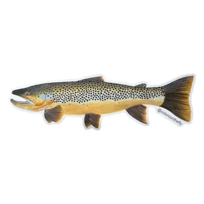 Mike Pepper "Colors on the Fly" 20" Brown Trout Sticker - Your Premium Fishing Gear Store Rods Lines Baits Accessories* Fly Fishing