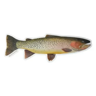Mike Pepper "Colors on the Fly" 20" Cutthroat Trout Sticker - Your Premium Fishing Gear Store Rods Lines Baits Accessories* Fly Fishing