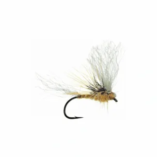 Morrish's May Day - March Brown - Your Premium Fishing Gear Store Rods Lines Baits Accessories* Fly Fishing