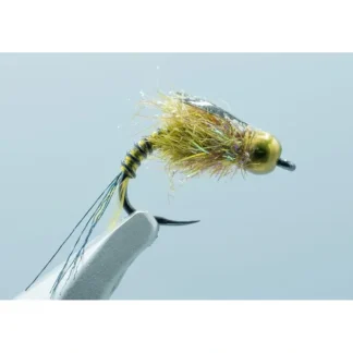 307 Nymph Olive #14 - Your Premium Fishing Gear Store Rods Lines Baits Accessories^ Clearance