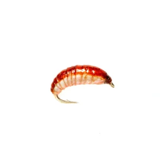Ooey Gooey Grub - Your Premium Fishing Gear Store Rods Lines Baits Accessories* Fishing Line