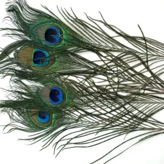 PEACOCK EYES - Your Premium Fishing Gear Store Rods Lines Baits Accessories* Fly Fishing