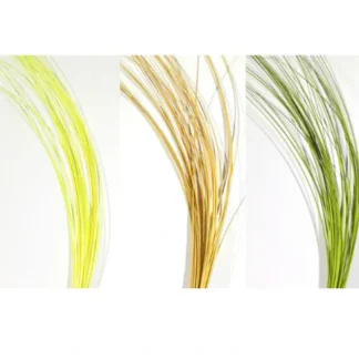 Quill Body - Your Premium Fishing Gear Store Rods Lines Baits Accessories* Fly Fishing