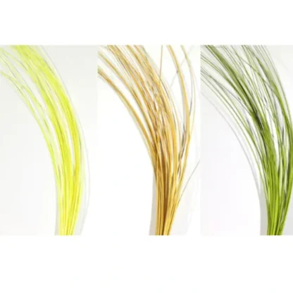 Quill Body - Your Premium Fishing Gear Store Rods Lines Baits Accessories* Fly Fishing