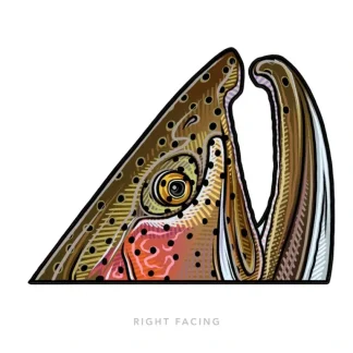 Rainbow Rise Right Sticker - Your Premium Fishing Gear Store Rods Lines Baits Accessories* Fishing Line