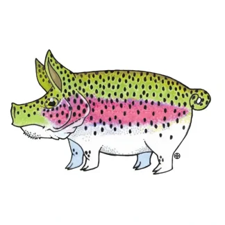 Rainbow Trout Pig Sticker - Your Premium Fishing Gear Store Rods Lines Baits Accessories* Fly Fishing