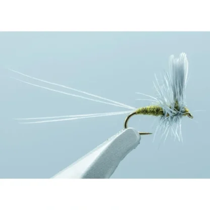 Razor Mayfly Baetis #20 - Your Premium Fishing Gear Store Rods Lines Baits Accessories* Fly Fishing