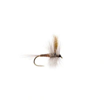 Red Quill - Your Premium Fishing Gear Store Rods Lines Baits Accessories* Fly Fishing