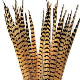 RINGNECK TAIL FEATHERS - 1 PAIR - Your Premium Fishing Gear Store Rods Lines Baits Accessories* Fly Fishing