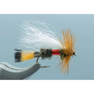 Royal Trude - Your Premium Fishing Gear Store Rods Lines Baits Accessories* Fishing Line