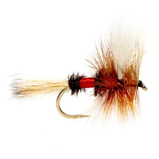 Royal Wulff - Your Premium Fishing Gear Store Rods Lines Baits Accessories* Fly Fishing