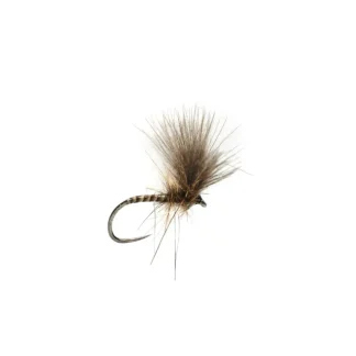 Roza's Quill V-Wing - Your Premium Fishing Gear Store Rods Lines Baits Accessories* Fly Fishing