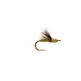 RS2 Olive - Your Premium Fishing Gear Store Rods Lines Baits Accessories* Fly Fishing
