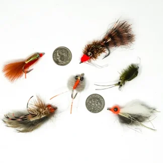 SoCal Surf Fly 6 Pack - Your Premium Fishing Gear Store Rods Lines Baits Accessories* Fly Fishing